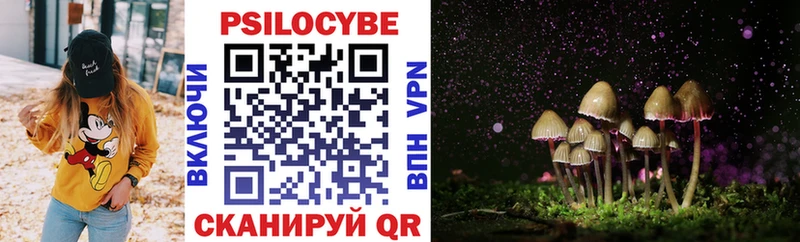 Псилоцибиновые грибы мицелий  мега   Сухиничи 